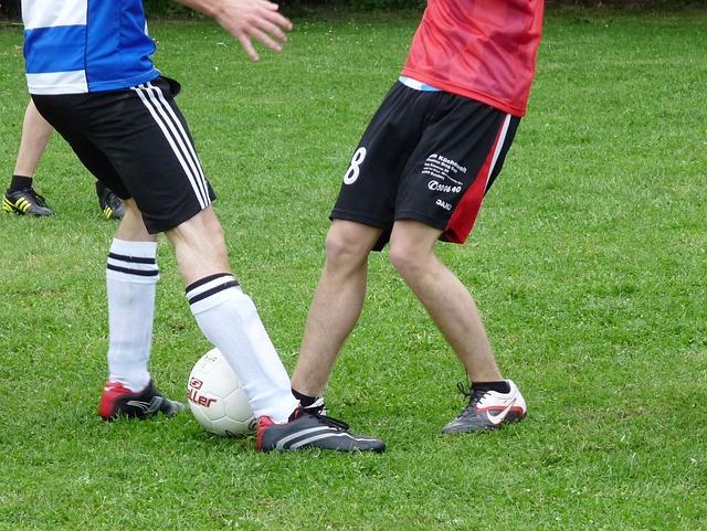 的完美结合 的完美结合